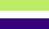 neopronouns flag